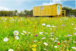 Honeysuckle Farm Holidays by Stay In Suffolk, Monk Soham